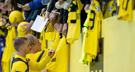 Alle hoffen, dass Borussia Dortmund den Bundesligatitel holt